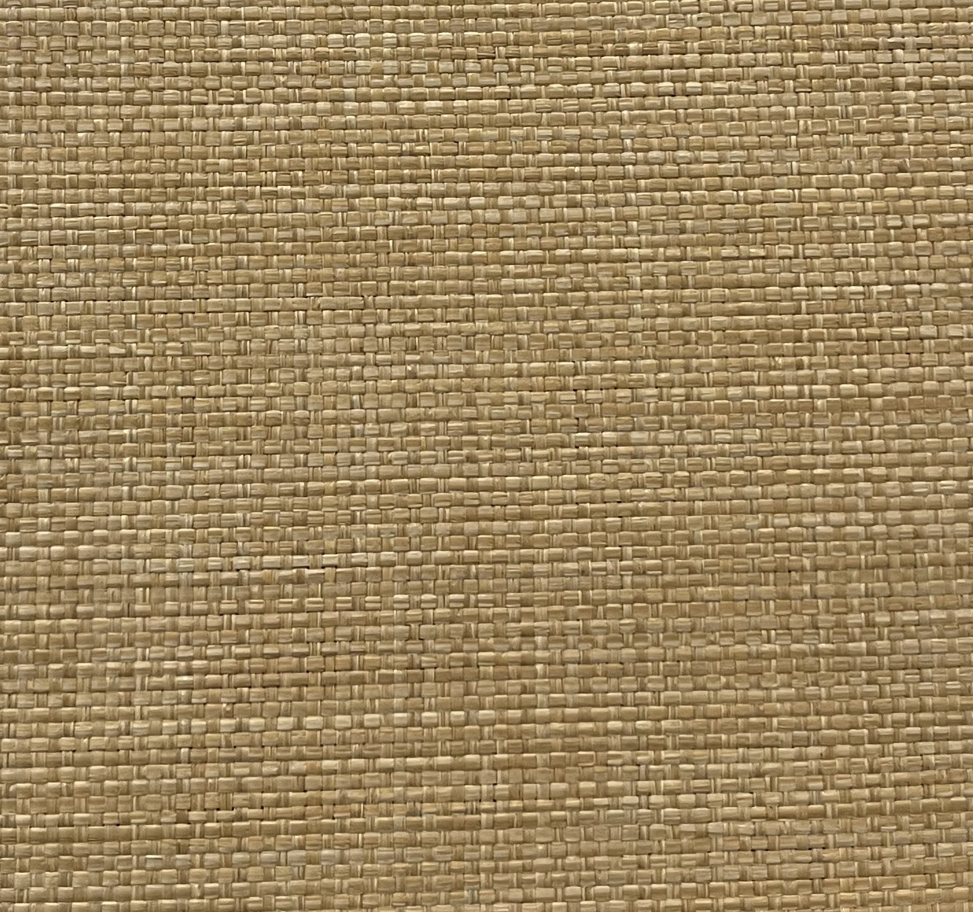 Performance Raffia Natural